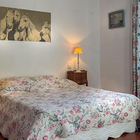 فيلا Mas De Charme En Pleine Camargue سان جيل المظهر الخارجي الصورة